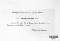 Image Associated With the Occurence
